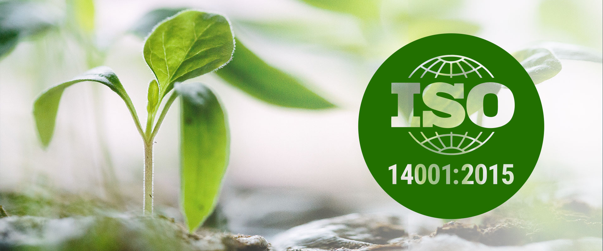 Основы и преимущества сертификации ISO 14001